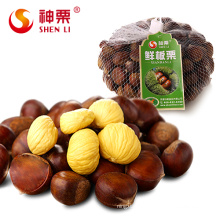 Nice Color Kuancheng 25KG Fresh Chestnut
